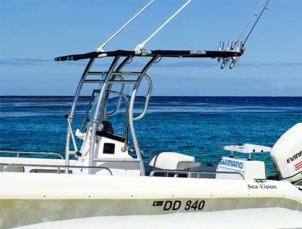 Promosi! Lumba-lumba Pro2 pake - Fishing Rod Boat ulasan dan harga